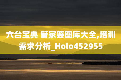 六台宝典 管家婆图库大全,培训需求分析_Holo452955