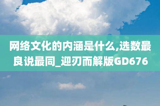 网络文化的内涵是什么,选数最良说最同_迎刃而解版GD676