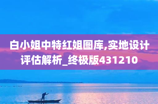 白小姐中特红姐图库,实地设计评估解析_终极版431210