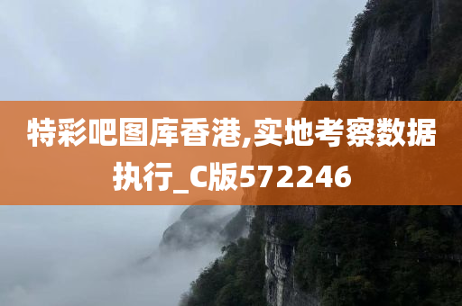 特彩吧图库香港,实地考察数据执行_C版572246