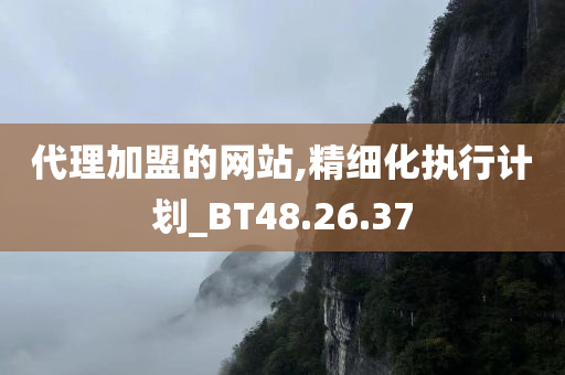 代理加盟的网站,精细化执行计划_BT48.26.37