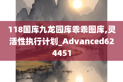 118国库九龙园库乖乖图库,灵活性执行计划_Advanced624451