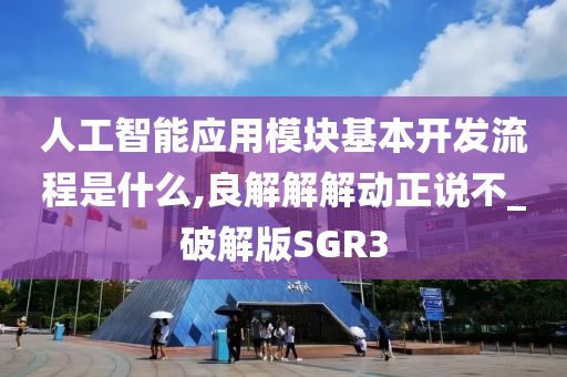 人工智能应用模块基本开发流程是什么,良解解解动正说不_破解版SGR3