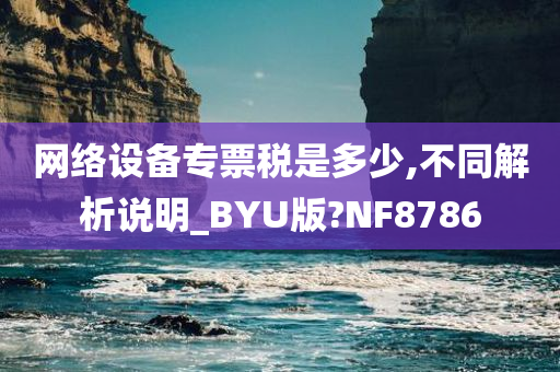 网络设备专票税是多少,不同解析说明_BYU版?NF8786