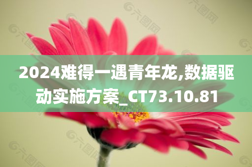 2024难得一遇青年龙,数据驱动实施方案_CT73.10.81