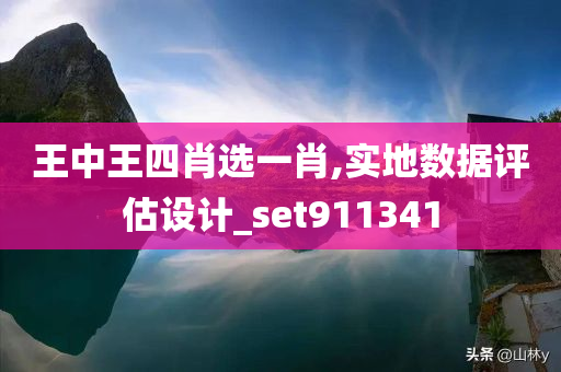 王中王四肖选一肖,实地数据评估设计_set911341