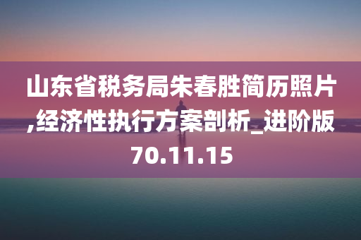 山东省税务局朱春胜简历照片,经济性执行方案剖析_进阶版70.11.15