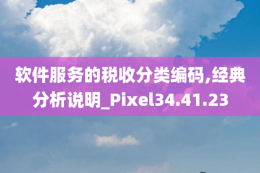 软件服务的税收分类编码,经典分析说明_Pixel34.41.23