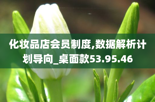 化妆品店会员制度,数据解析计划导向_桌面款53.95.46