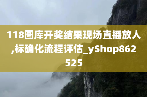 118图库开奖结果现场直播放人,标确化流程评估_yShop862525