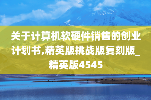 关于计算机软硬件销售的创业计划书,精英版挑战版复刻版_精英版4545