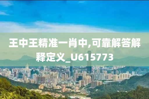 王中王精准一肖中,可靠解答解释定义_U615773