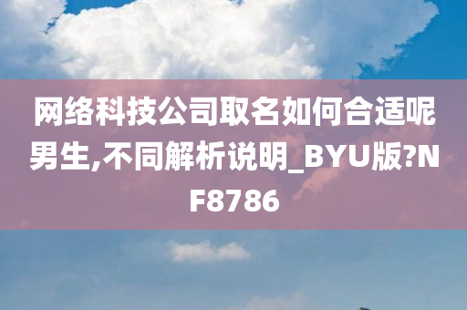 网络科技公司取名如何合适呢男生,不同解析说明_BYU版?NF8786