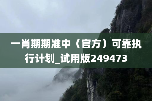 一肖期期准中（官方）可靠执行计划_试用版249473