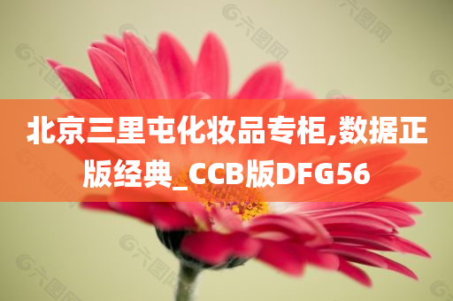 北京三里屯化妆品专柜,数据正版经典_CCB版DFG56