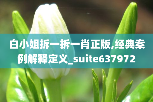 白小姐拆一拆一肖正版,经典案例解释定义_suite637972