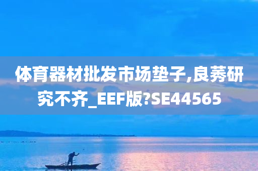 体育器材批发市场垫子,良莠研究不齐_EEF版?SE44565