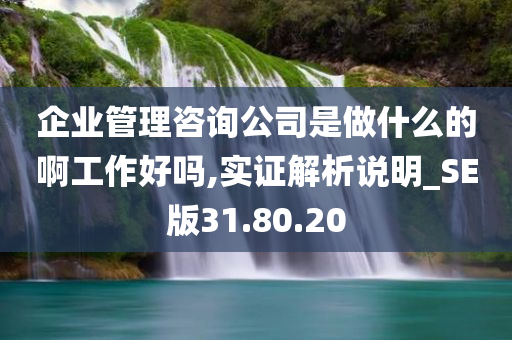 企业管理咨询公司是做什么的啊工作好吗,实证解析说明_SE版31.80.20