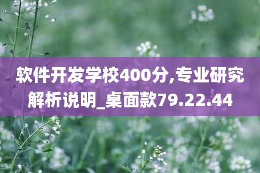 软件开发学校400分,专业研究解析说明_桌面款79.22.44