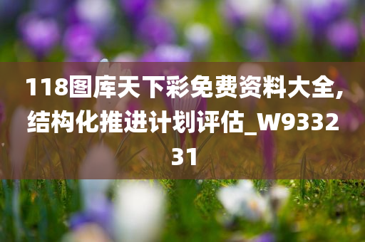 118图库天下彩免费资料大全,结构化推进计划评估_W933231