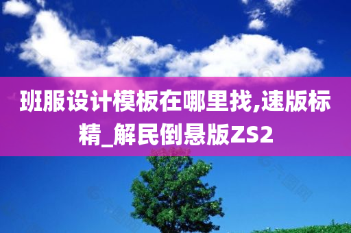 班服设计模板在哪里找,速版标精_解民倒悬版ZS2