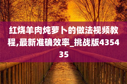 红烧羊肉炖萝卜的做法视频教程,最新准确效率_挑战版435435