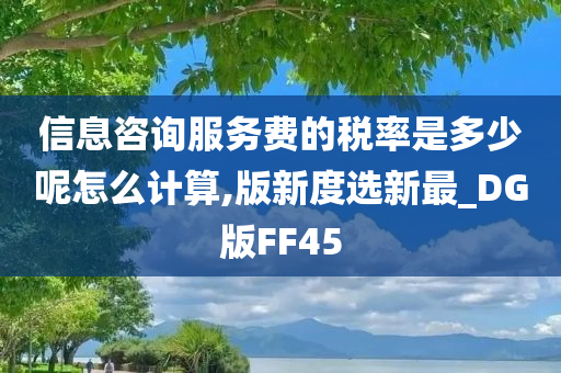 信息咨询服务费的税率是多少呢怎么计算,版新度选新最_DG版FF45