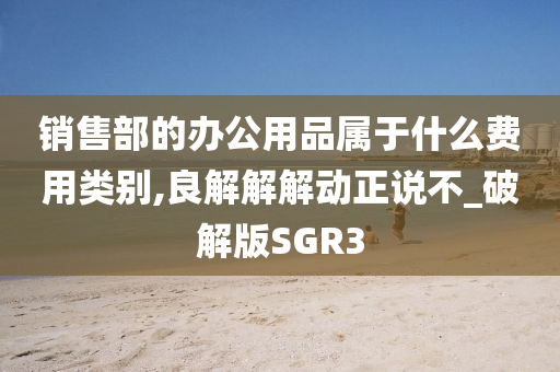 销售部的办公用品属于什么费用类别,良解解解动正说不_破解版SGR3