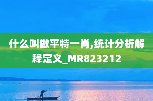 什么叫做平特一肖,统计分析解释定义_MR823212