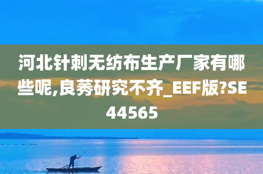 河北针刺无纺布生产厂家有哪些呢,良莠研究不齐_EEF版?SE44565