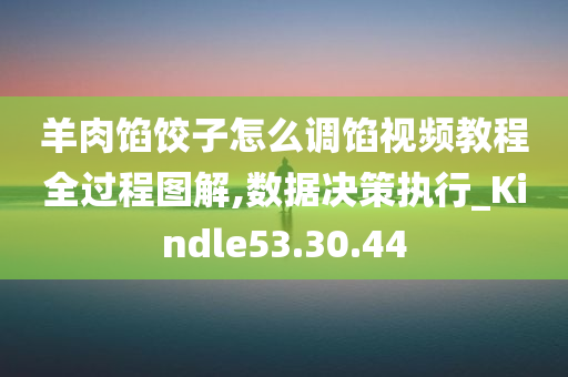 羊肉馅饺子怎么调馅视频教程全过程图解,数据决策执行_Kindle53.30.44