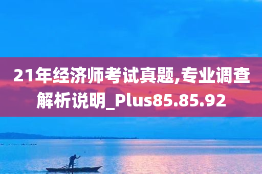 21年经济师考试真题,专业调查解析说明_Plus85.85.92