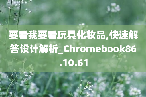 要看我要看玩具化妆品,快速解答设计解析_Chromebook86.10.61