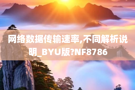 网络数据传输速率,不同解析说明_BYU版?NF8786