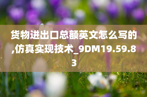 货物进出口总额英文怎么写的,仿真实现技术_9DM19.59.83