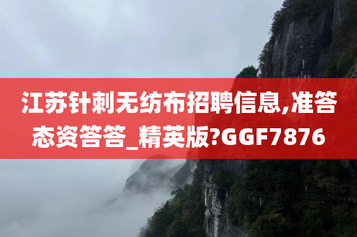 江苏针刺无纺布招聘信息,准答态资答答_精英版?GGF7876