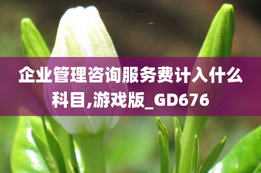 企业管理咨询服务费计入什么科目,游戏版_GD676