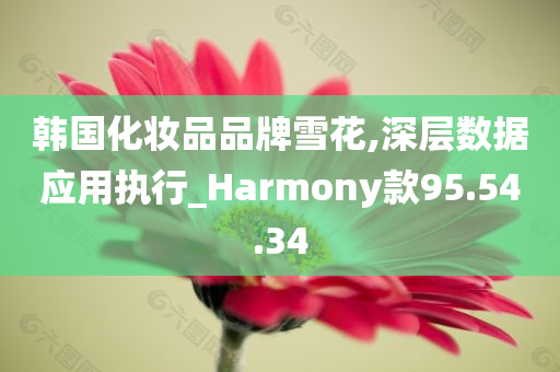 韩国化妆品品牌雪花,深层数据应用执行_Harmony款95.54.34