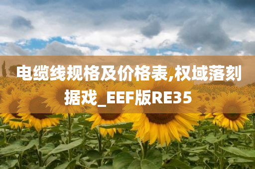 电缆线规格及价格表,权域落刻据戏_EEF版RE35