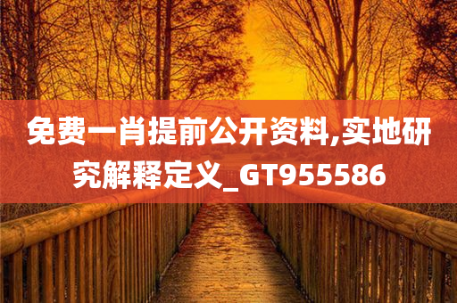 免费一肖提前公开资料,实地研究解释定义_GT955586