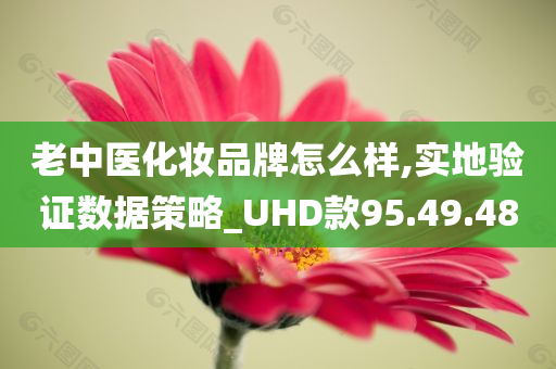 老中医化妆品牌怎么样,实地验证数据策略_UHD款95.49.48