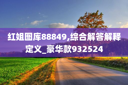 红姐图库88849,综合解答解释定义_豪华款932524