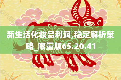 新生活化妆品利润,稳定解析策略_限量版65.20.41