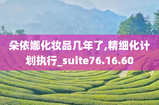 朵依娜化妆品几年了,精细化计划执行_suite76.16.60