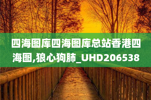 四海图库四海图库总站香港四海图,狼心狗肺_UHD206538