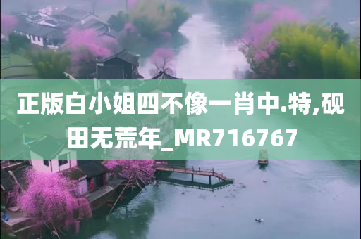 正版白小姐四不像一肖中.特,砚田无荒年_MR716767