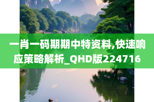 一肖一码期期中特资料,快速响应策略解析_QHD版224716