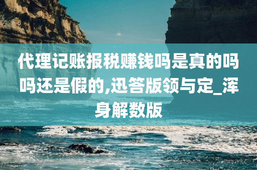 代理记账报税赚钱吗是真的吗吗还是假的,迅答版领与定_浑身解数版