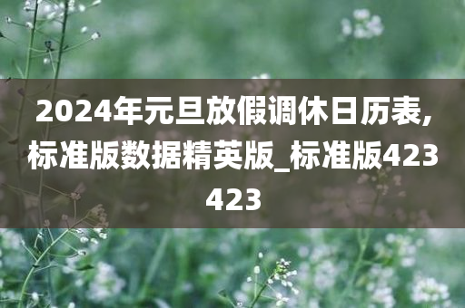 2024年元旦放假调休日历表,标准版数据精英版_标准版423423