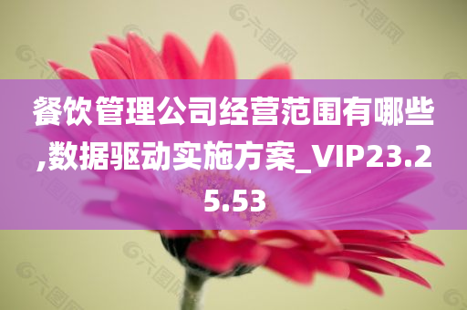 餐饮管理公司经营范围有哪些,数据驱动实施方案_VIP23.25.53